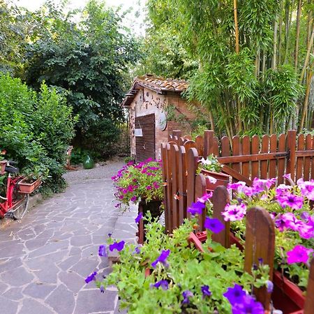 Loft In Antico Mulino Daire Isola d'Arbia Dış mekan fotoğraf